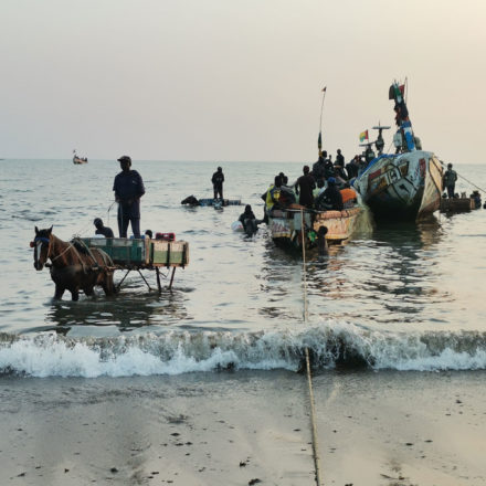 3r premi – Entrada de la pesca (Senegal)
